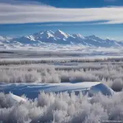 新疆最冷的地方是哪里？
