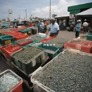 有哪些渔具店或水产市场提供销售钓鱼用品吗？