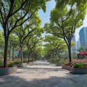 深圳北站附近的公园和花园都有哪些特点以及开放时间是什么时候？