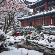 在中国大陆不同区域中哪个季节会有更多的降雪机会？