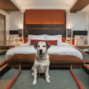 有哪些酒店提供专门为犬只服务的客房或设施？