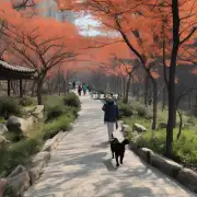 北京市大兴区房山区以及昌平区附近是否有任何公园或自然保护区内容丰富且允许携带宠物散步？