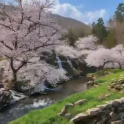在哪些地区可以找到最好的春日美景呢？
