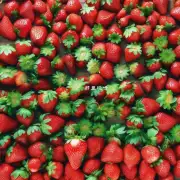 如何找到一个可靠且值得信赖的草莓供应商来购买你的所需数量的草莓产品？