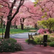 哪些公园比较适合散步和放松心情？