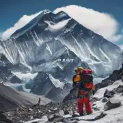在珠穆朗玛峰上可以找到什么动物或植物物种吗？