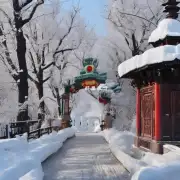 冬季去哈尔滨旅游有哪些必玩项目？