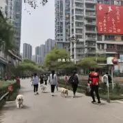 在北京市延庆区和怀柔县周边有哪些适合遛狗的地方？