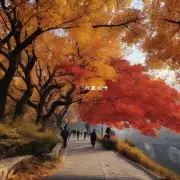 北京有哪些地方可以欣赏到秋季的美景？