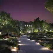 有哪些公园或广场是夜间活动的好去处吗？它们是否提供令人难以置信的景观体验？