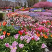 你知道哪些城市镇可以在春季看到各种各样的鲜花盛开时举办庆典活动以庆祝它们？