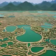 莲花水库位于中国哪个省份？这座水库在中国哪个省建设管理以及供水等各方面起到重要作用的地方？