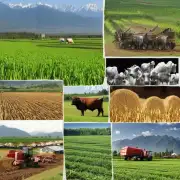 哪一个省在农业方面最为发达？