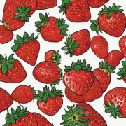 最后但同样重要的是如果你正在寻求特定类型的草莓你是否已经找到了你所期望的答案了呢？