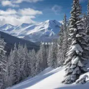 什么是雪线以及它与海拔高度的关系是什么？