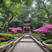 广州有哪些有名的公园或者自然风光区域可以去探索一番？