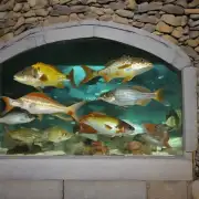 哪些鱼类是沅陵地区的特色品种之一值得一试？