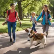 我们附近的公园是否允许我们带狗散步并与它们玩耍在一起？如果是的话哪些公园是比较适合孩子们去遛弯儿的好场所呢？