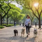 在上海有哪些公园适合带着狗狗一起散步？
