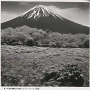 日本最高的峰是哪一座山呢？