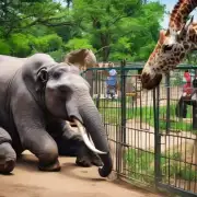 如果想去动物园参观的话合肥哪个园区比较适合带着孩子一起去看动物呢？