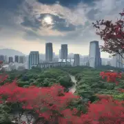 深圳市中心城区哪里有樱桃林风景线可供观赏？