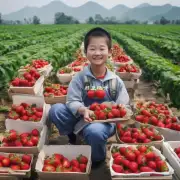 对于不熟悉中国文化的人来说有哪些建议可以帮助他们更好地融入当地社区并在摘草莓的过程中更加愉快的经历中度过？