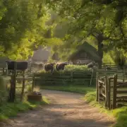 你觉得在农村里生活有哪些好处？