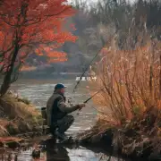 哪些季节更适合钓鱼而不是其他季节？