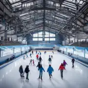 在哪些城市可以找到最佳的室内溜冰场室外冰球场地？