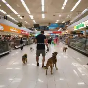哪些商场购物中心以及超市能够容纳你的小狗吗？