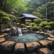如果想体验一下传统日本风格的温泉有什么选择吗？