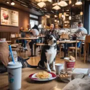哪些餐厅和咖啡馆在室内区域也接受带有宠物的人们入内就餐呢？