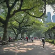 在深圳的人比较少的地方玩可以去哪些公园？
