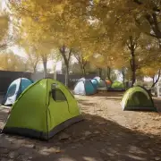 有没有一些免费露营地或户外活动场所供市民使用？