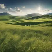 在世界上所有国家中哪一片草地最广为人知？