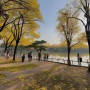 金鸡湖公园是否适合散步跑步等户外运动活动？