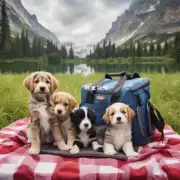 如果想带着小狗去野餐或者露营的话有没有推荐的地点吗？