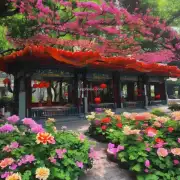 深圳有哪些地方可以欣赏到美丽的花朵？