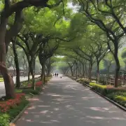 在广州有哪些公园可以和家人一起散步？