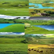除了非洲以外的大陆上最大的草原在哪里？有哪些特色和特点？