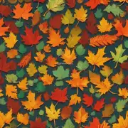 你认为为什么人们喜欢观看秋天时出现的美丽景象如枫叶等现象的原因是什么呢？