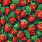 如果你是一位对健康饮食有追求的人士那么你知道在哪些区域中你可以找到最优秀的有机草莓供应源么？