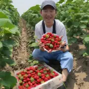 武汉市区采摘草莓的好地方有哪些？