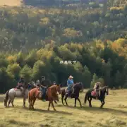 在大理旅游时是否允许进行骑马活动？