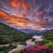 在云南省有哪些著名的风景名胜区和自然保护区？