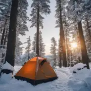 首先我想问的是 在冬季进行露营活动有哪些地方可以选择？