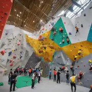 南京有多少家专门从事室内攀岩训练和比赛的企业或组织机构？