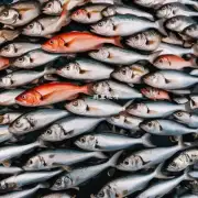 在哪些地区或者市场里能够找到最好的鲜活淡水鱼供应来源呢？