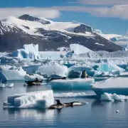为什么格陵兰岛上有很多冰山和海豹呢？